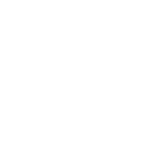 SE Logo Wear